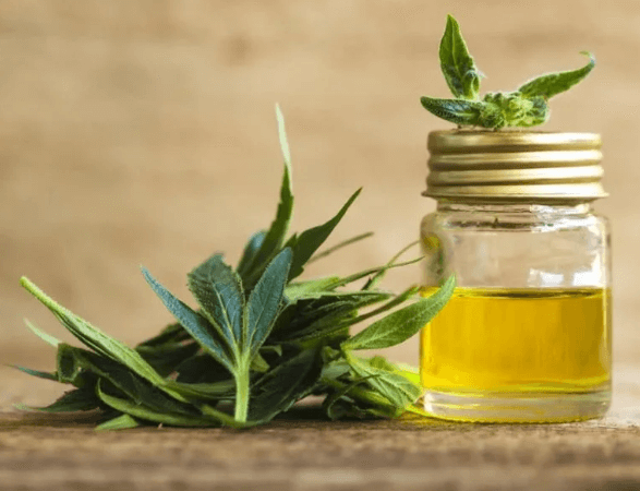 How Much Does the Average Cbd Store Make