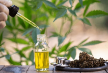 How to Become a Cbd Oil Distributor