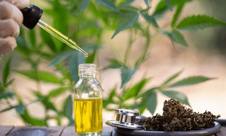 How to Become a Cbd Oil Distributor