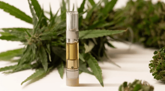 How to Smoke Cbd for Beginners