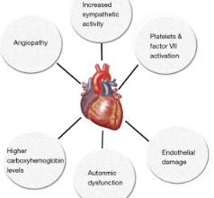 Is Cbd a Vasodilator or Vasoconstrictor