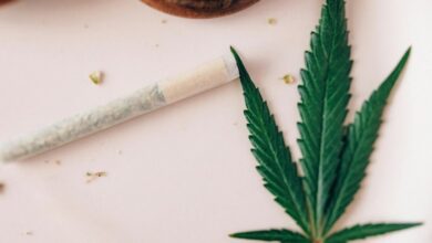 cannabidiol compound from cannabis