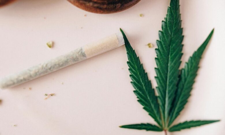 cannabidiol compound from cannabis