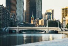 cbd and appetite regulation