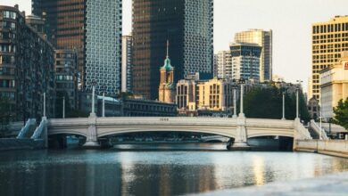 cbd and appetite regulation