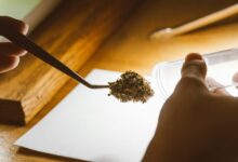 cbd and drug test implications