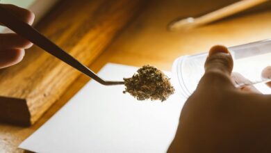 cbd detection in system