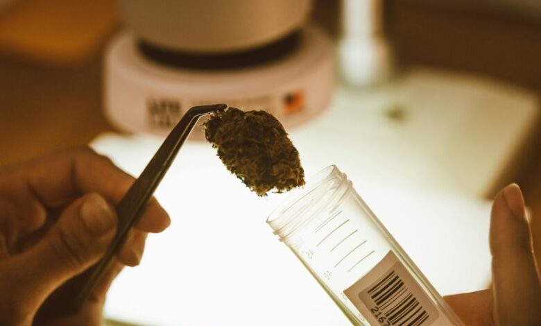 cbd detection in urine