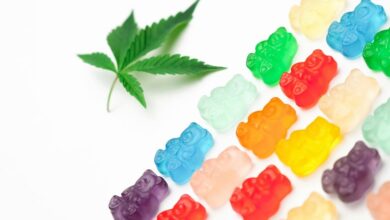 cbd gummies pricing inquiry