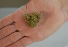 cbd is not stimulating