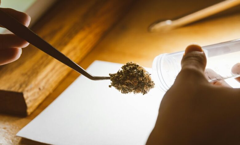 cbd lotion drug test