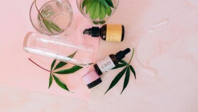 cbd oil production process