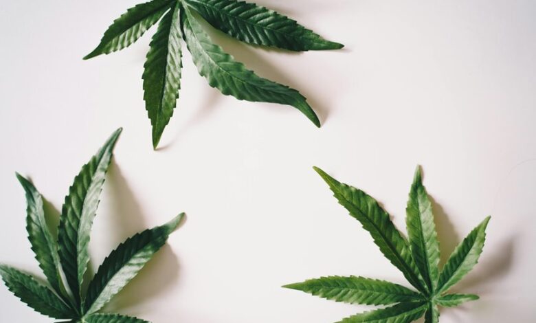 cbd possesses anti inflammatory properties