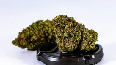 cbd potency over time