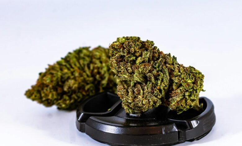 cbd potency over time