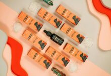 dog cbd overdose risks