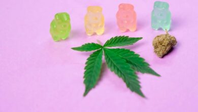 flying with cbd gummies legality