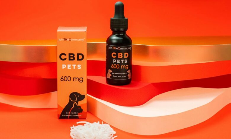 giving dogs cbd oil