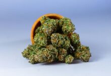 vaping cbd drug test