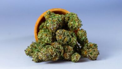 vaping cbd drug test
