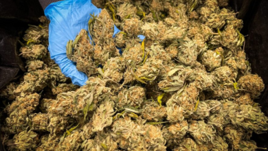 THCA for Wellness