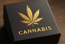 What to Look for in a Weed Packaging Company for Your Cannabis Brand