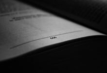 a beginner s guide summary