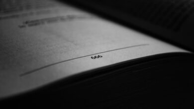 a beginner s guide summary