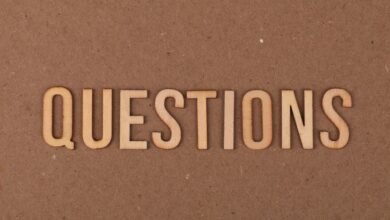 common questions about 8337630688