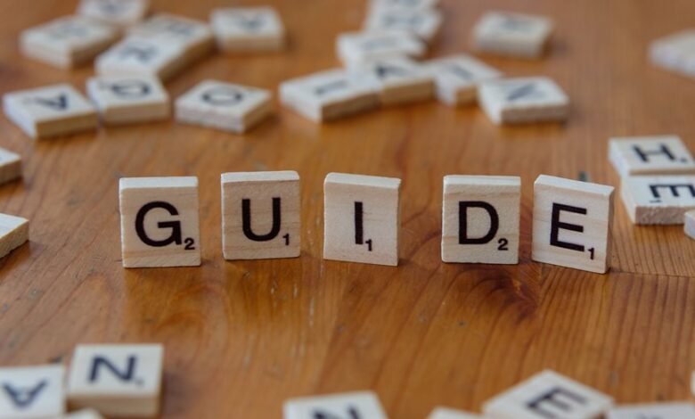 guidance for 481615428 guide