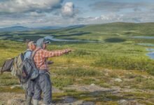 the ultimate guide expert tips