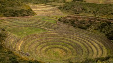 top reasons to learn lanitarhoa