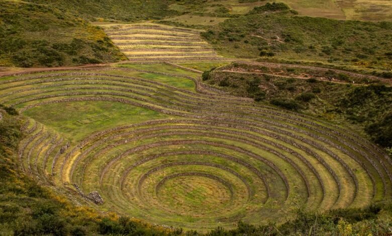 top reasons to learn lanitarhoa